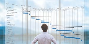 A Importância do Gerenciamento de Projetos para a Sua Empresa